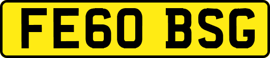 FE60BSG