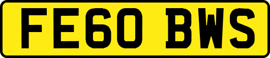FE60BWS