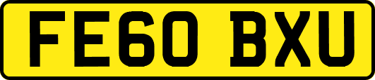 FE60BXU