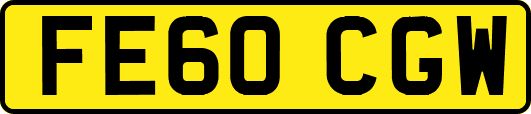 FE60CGW
