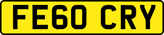 FE60CRY