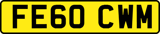 FE60CWM