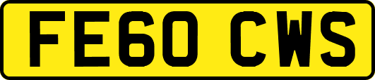 FE60CWS