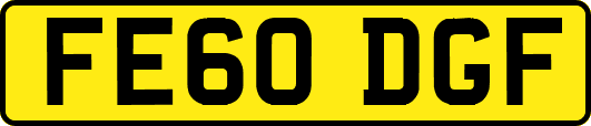 FE60DGF