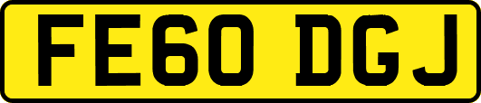 FE60DGJ