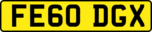 FE60DGX