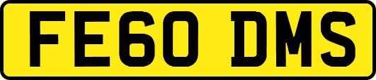 FE60DMS