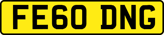 FE60DNG