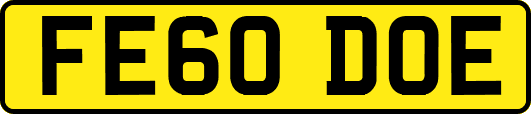 FE60DOE