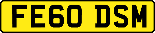 FE60DSM