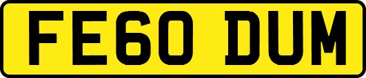 FE60DUM