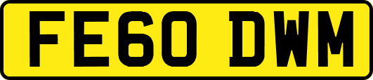 FE60DWM