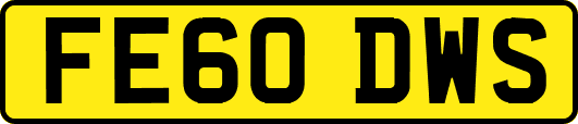 FE60DWS