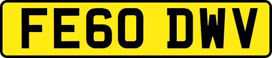 FE60DWV