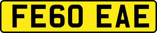 FE60EAE