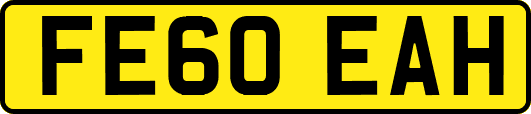 FE60EAH