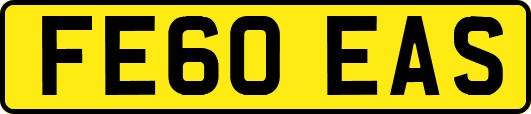 FE60EAS