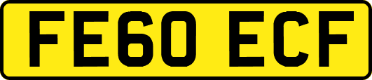 FE60ECF