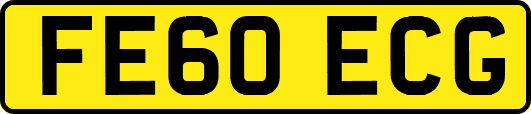 FE60ECG