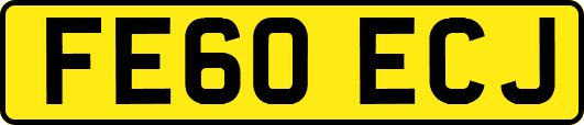 FE60ECJ