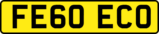 FE60ECO