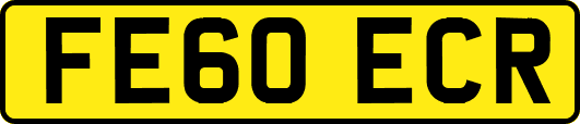 FE60ECR