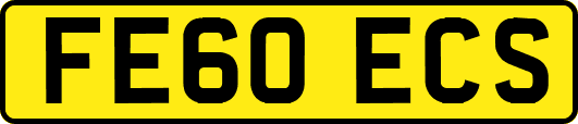 FE60ECS