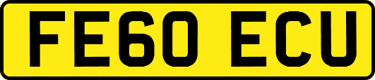 FE60ECU