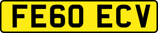 FE60ECV