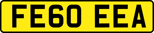 FE60EEA