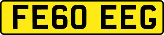 FE60EEG