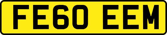 FE60EEM