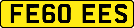 FE60EES