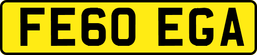 FE60EGA