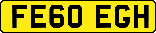 FE60EGH