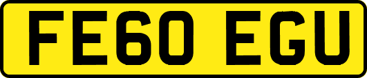 FE60EGU