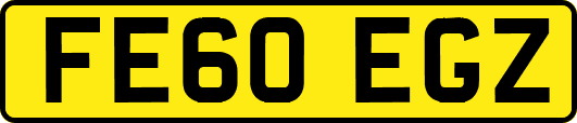 FE60EGZ