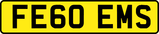 FE60EMS