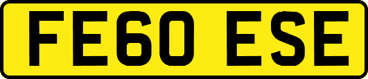 FE60ESE