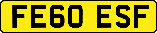 FE60ESF