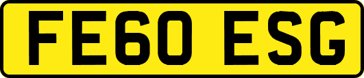 FE60ESG
