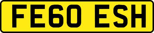 FE60ESH