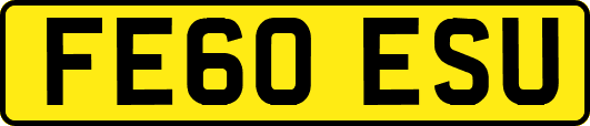 FE60ESU