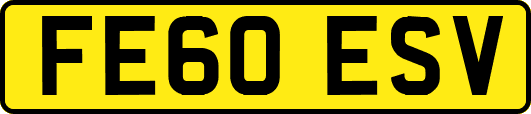 FE60ESV