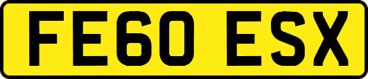 FE60ESX