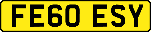 FE60ESY