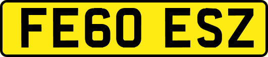 FE60ESZ