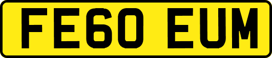 FE60EUM