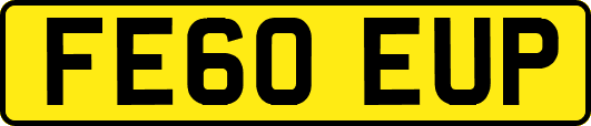 FE60EUP