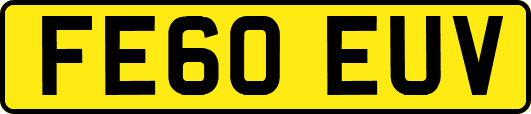 FE60EUV